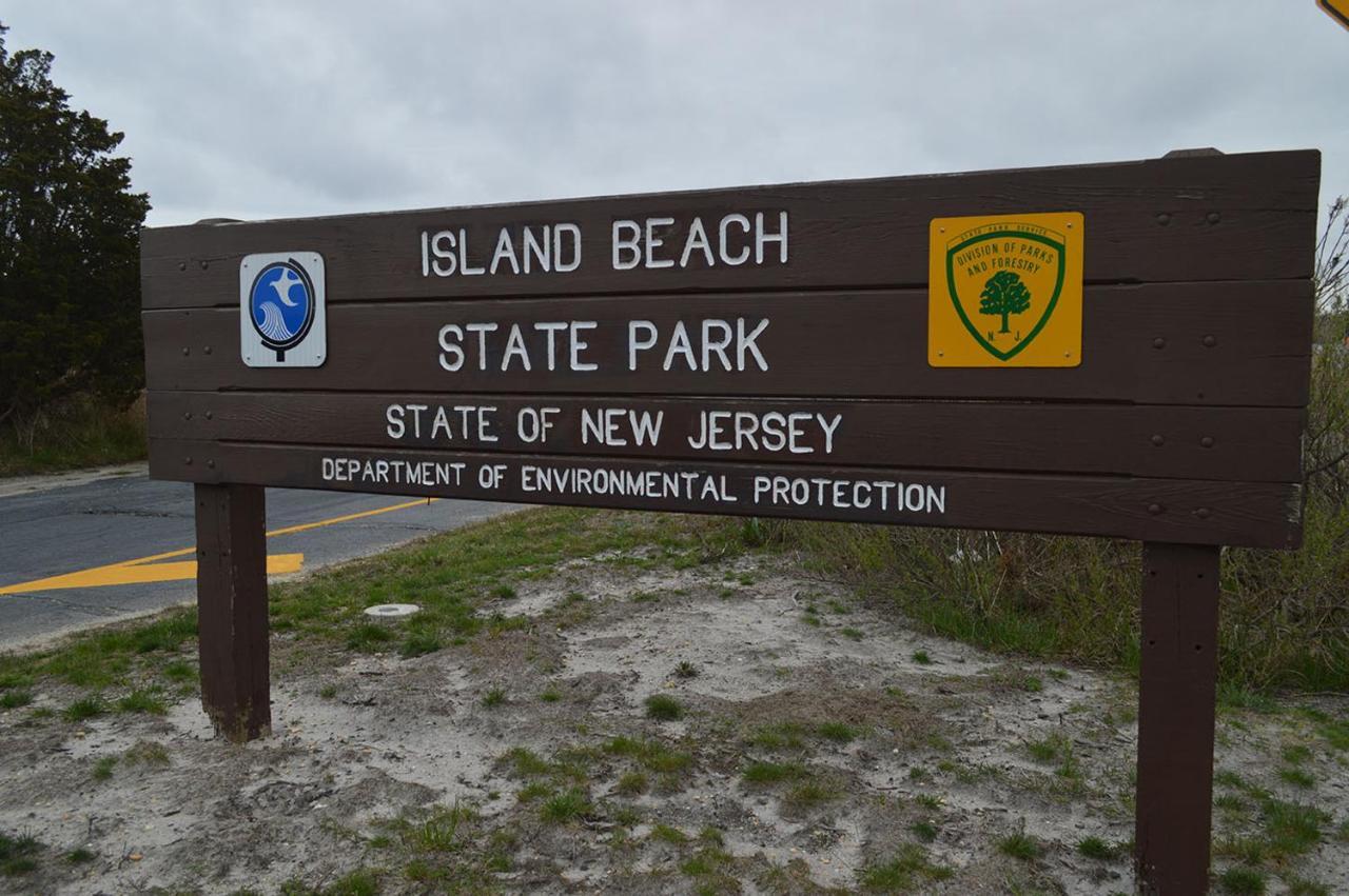 Boardwalk Hotel Charlee & Apartments Beach Hotel Oceanfront Seaside Heights Εξωτερικό φωτογραφία